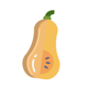 Butternut squash